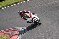 Lower Group White Bikes